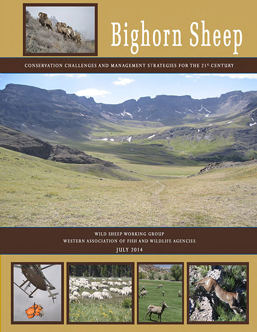 WAFWA Bighorn Sheep Conservation Challenges Cover
